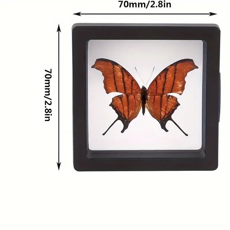 20 adet Clearview 3D Yüzen Vit - Display Case Acrylic incelemesi ve fiyatı
